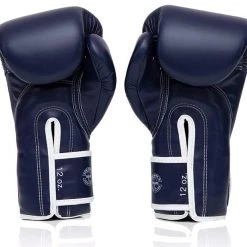 MUAY THAI MICROFIBER BOXING GLOVES FAIRTEX BGV14 - BLUE