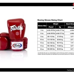 FAIRTEX BOXING GLOVES MEXICAN STYLE BGV9 – BLACK / WHITE