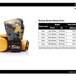 MUAY THAI BOXING GLOVES FAIRTEX "HARMONY SIX" - BGV26 15 MUAY THAI BOXING GLOVES FAIRTEX
