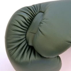 FAIRTEX BOXING GLOVES F-DAY BGV11 LIMITED EDITION