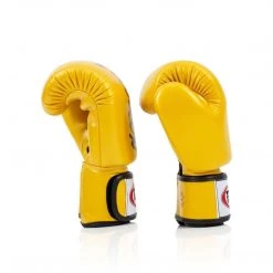 FAIRTEX BOXING GLOVES DELUXE TIGHT-FIT BGV19 - GOLD