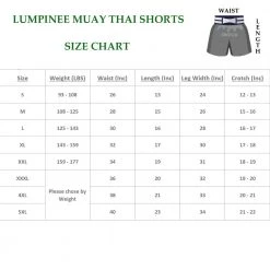 LUMPINEE MUAY THAI SHORTS Retro Fight Kickboxing Men & Women Clothing Martial Arts Training & Grappling - R15