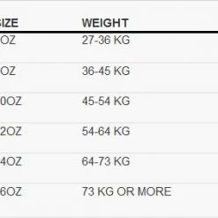 BOOSTER BOXING GLOVES PREMIUM STRIKER 2