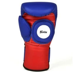 FAIRTEX BOXING GLOVES FOR COACHING BGV13 SPARRING GLOVES - BLUE