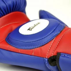 FAIRTEX BOXING GLOVES FOR COACHING BGV13 SPARRING GLOVES - BLUE